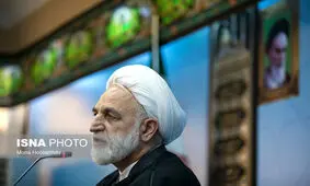 یکی از محکومان مفاسد اقتصادی به اعدام، چند کارتن پرونده دارد
