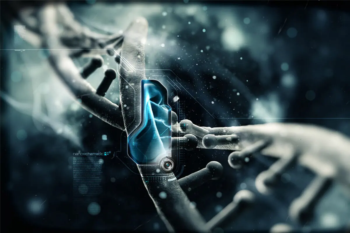DNA به کامپیوتر ها می رسد