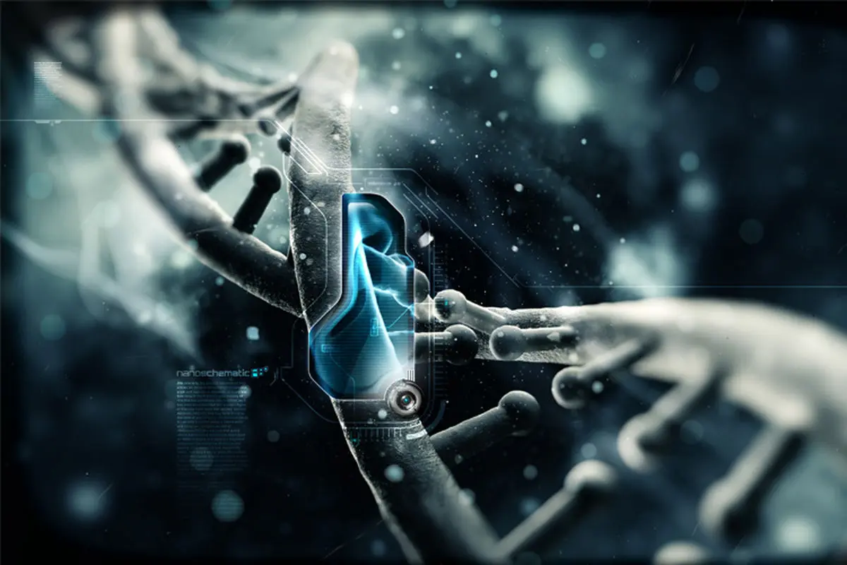 DNA به کامپیوتر ها می رسد