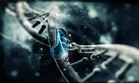 DNA به کامپیوتر ها می رسد