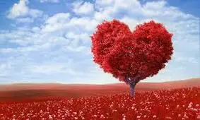 آقایان عاشق این خصوصیات در زنان هستند