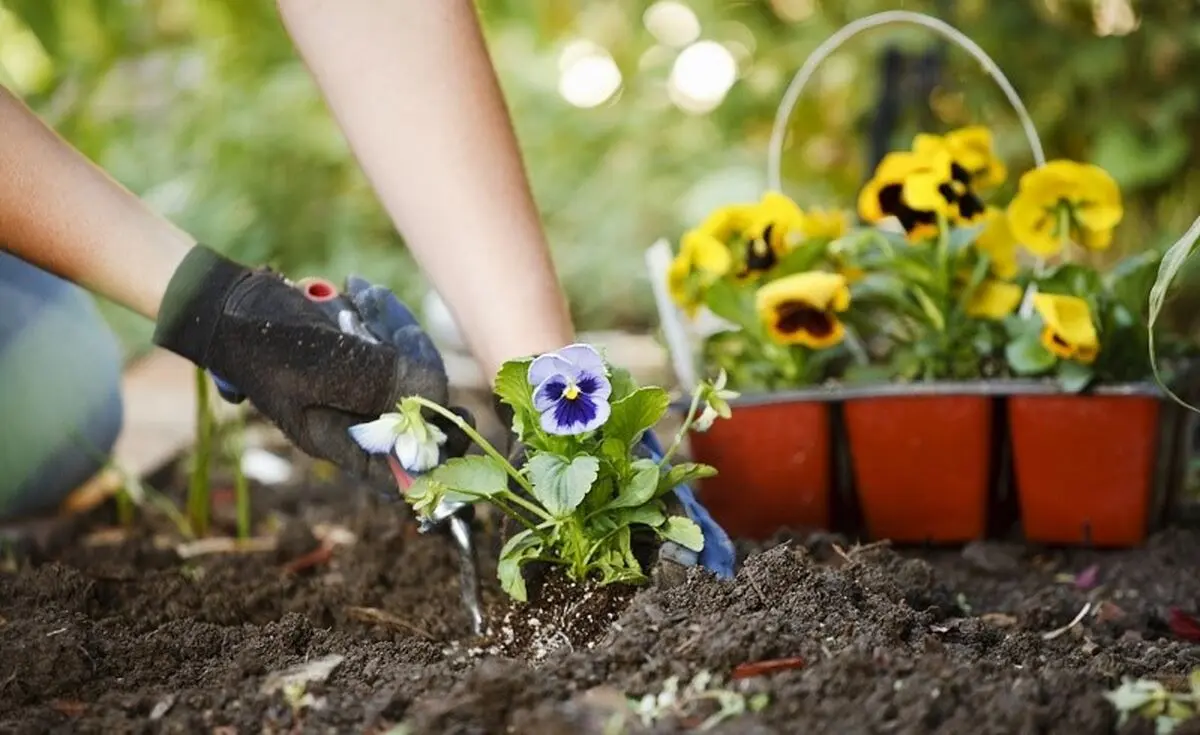 چگونه انرژی منفی را از خانه دور کنیم؟
