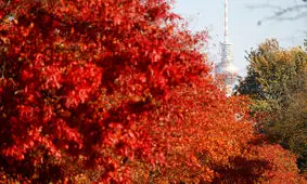 پاییز هزار رنگ!/ یک گزارش تصویری از آتلانتیک