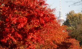 پاییز هزار رنگ!/ یک گزارش تصویری از آتلانتیک