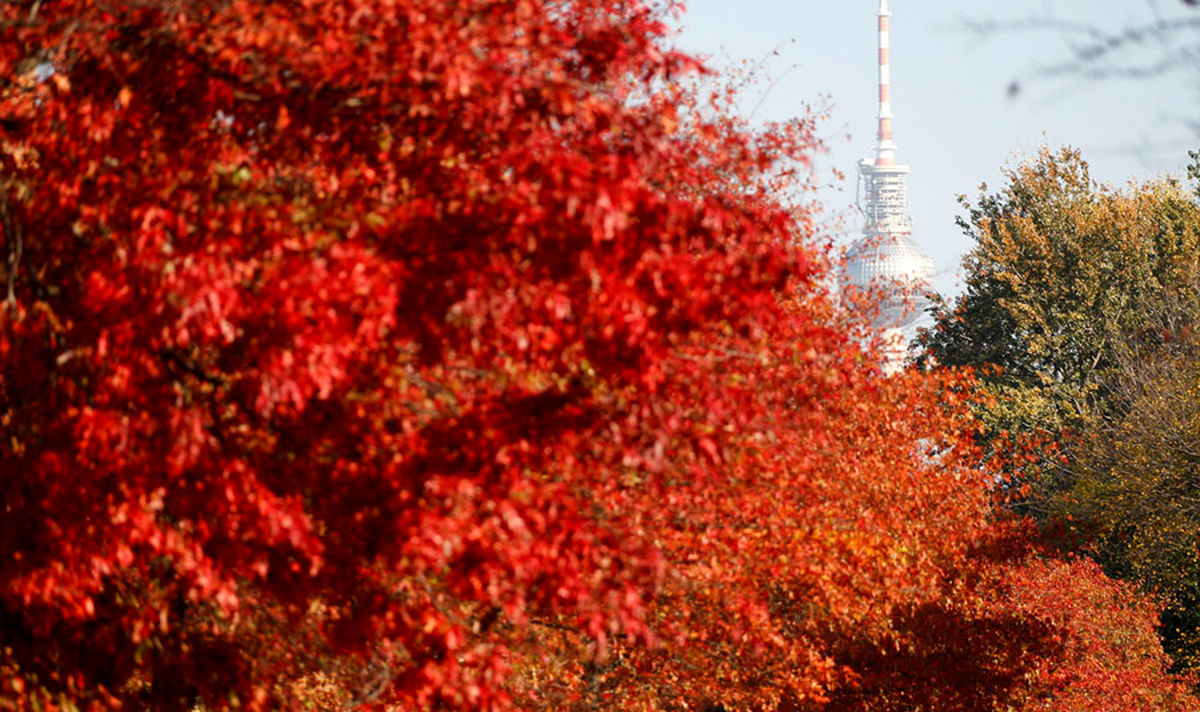 پاییز هزار رنگ!/ یک گزارش تصویری از آتلانتیک