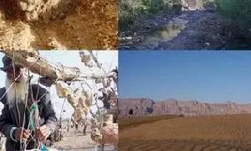 باغی که از درختانش سنگ آویزان است!