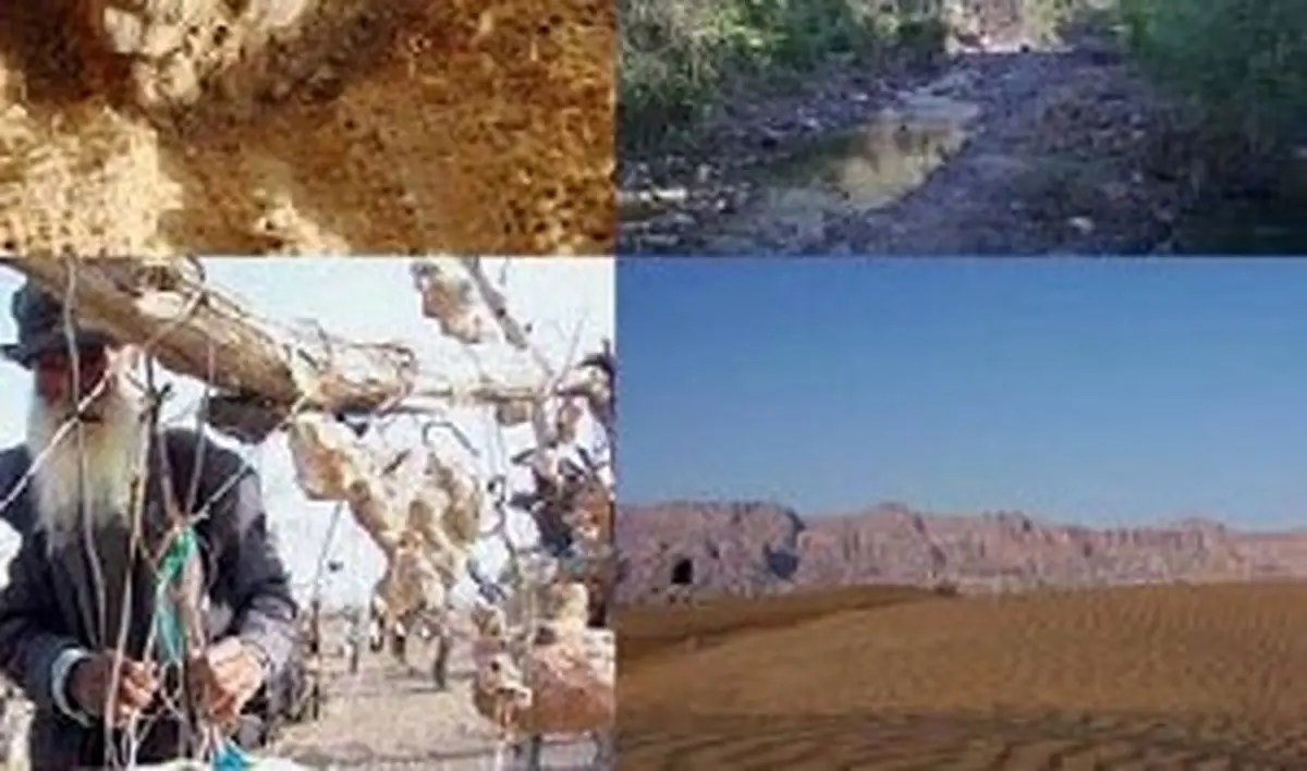 باغی که از درختانش سنگ آویزان است!