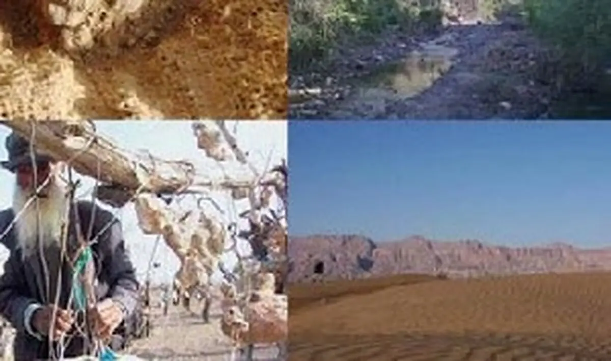 باغی که از درختانش سنگ آویزان است!