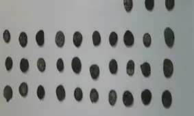 کشف گنجی عجیب در خوزستان+عکس