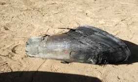 سقوط اشیا ناشناس در بجستان ،قطعاتی احتمالی از پهباد یا ماهواره است