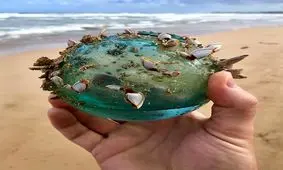 عجیب ترین اشیاء پیدا شده توسط مردم (عکس)