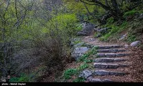 کاهش شدید دما از عصر جمعه و احتمال بارش برف