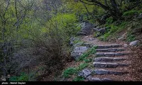 کاهش شدید دما از عصر جمعه و احتمال بارش برف