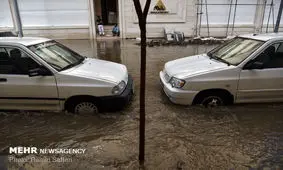 مدارس شادگان تعطیل شد