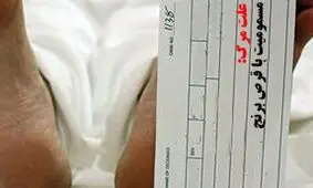 افزایش 56 درصدی مرگ با قرص برنج در فارس