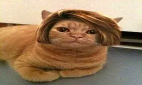 عکس های بسیار باحال و خنده دار