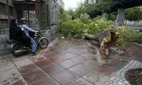 طوفان 30 میلیارد ریال به ‌مشگین شهر خسارت زد