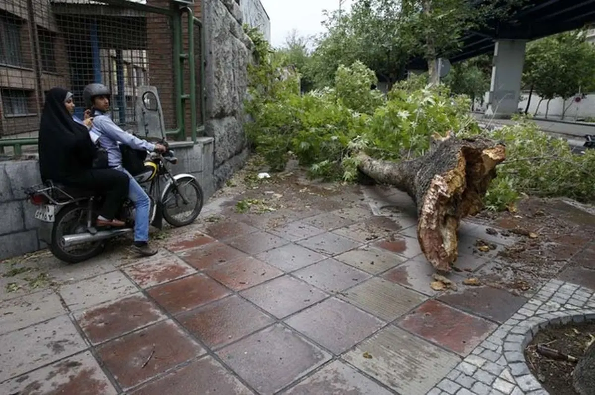 طوفان 30 میلیارد ریال به ‌مشگین شهر خسارت زد