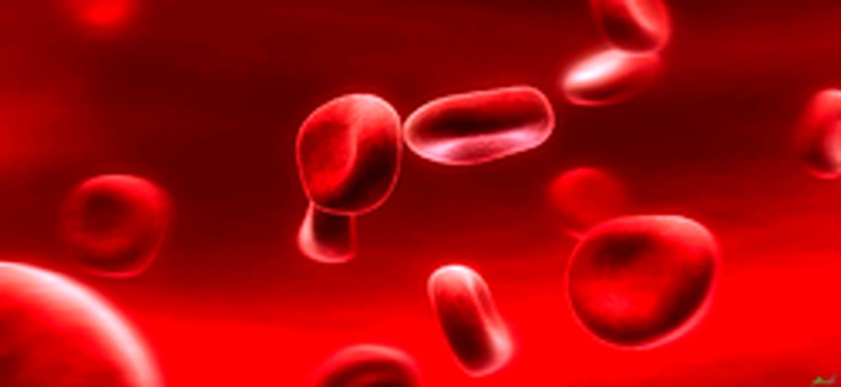 ۱۱ راه برای تصفیه و شفاف کردن خون