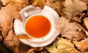 7 دمنوش عالی برای فصل پاییز که باید بنوشید!!