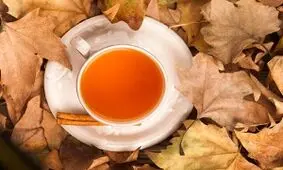 7 دمنوش عالی برای فصل پاییز که باید بنوشید!!