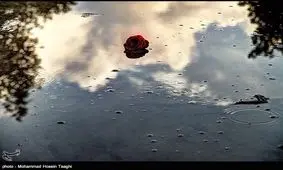 بارش باران در عمده محورهای مواصلاتی خراسان‌رضوی