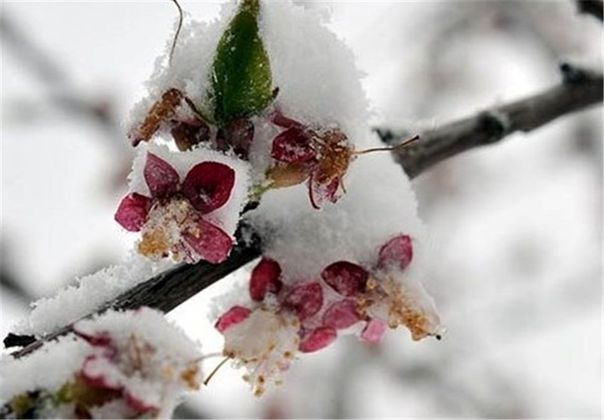 دمای هوا در خوزستان کاهش محسوس مییابد