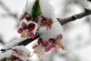 دمای هوا در خوزستان کاهش محسوس می‌یابد