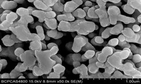 درمان عفونت مغزی با استفاده از نقره!