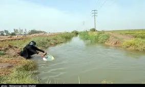 عشق بدون مرز حسینی؛ موکبی ساده اما صمیمی برای خدمت به زائران