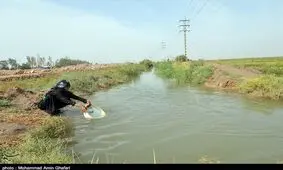 عشق بدون مرز حسینی؛ موکبی ساده اما صمیمی برای خدمت به زائران