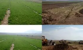 یک هزار هکتار رفع تصرف از تجاوزات به حریم زاینده رود انجام شد