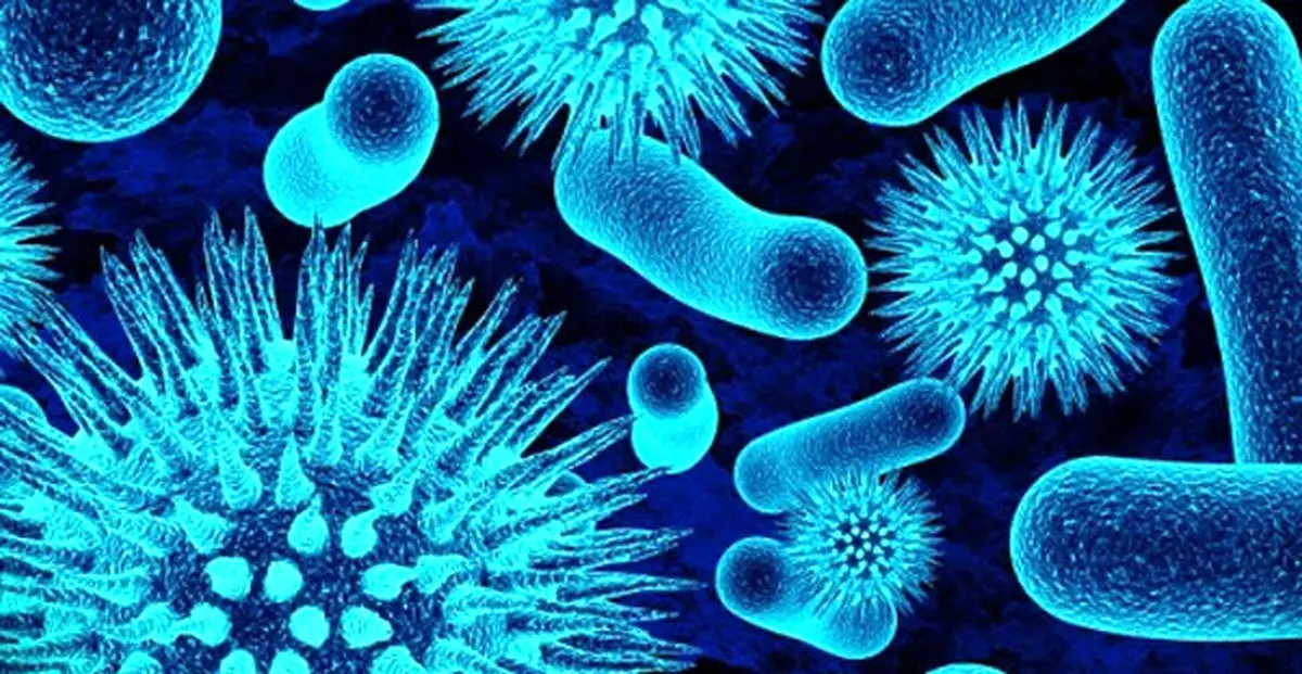 درباره ویروس هپاتیت A بیشتر بدانید