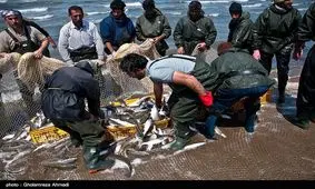 فعالیت‌های صیادی در دریای مازندران متوقف شد