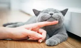 آیا میدانید های جالب و جدید