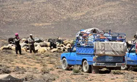 امکان کوچ زودهنگام عشایر نیست