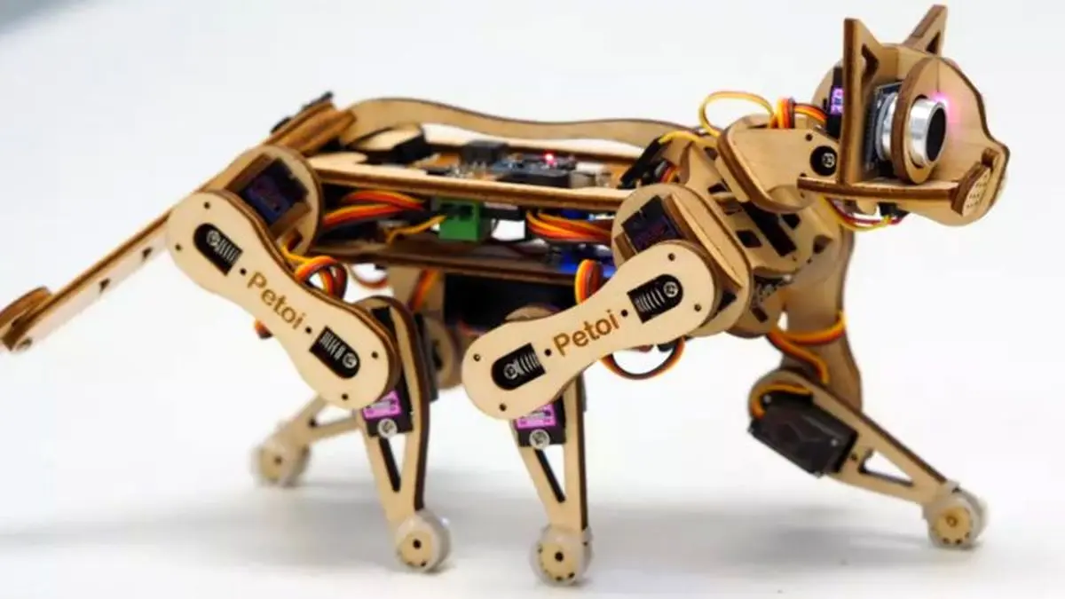 گربه‌ی رباتیک که می‌توانید خودتان آن را برنامه نویسی کنید