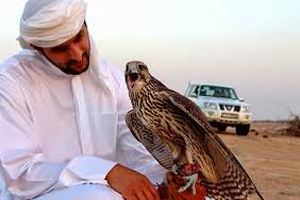 شکار پرندگان در سیستان و بلوچستان و فروش آن در کشورهای عربی