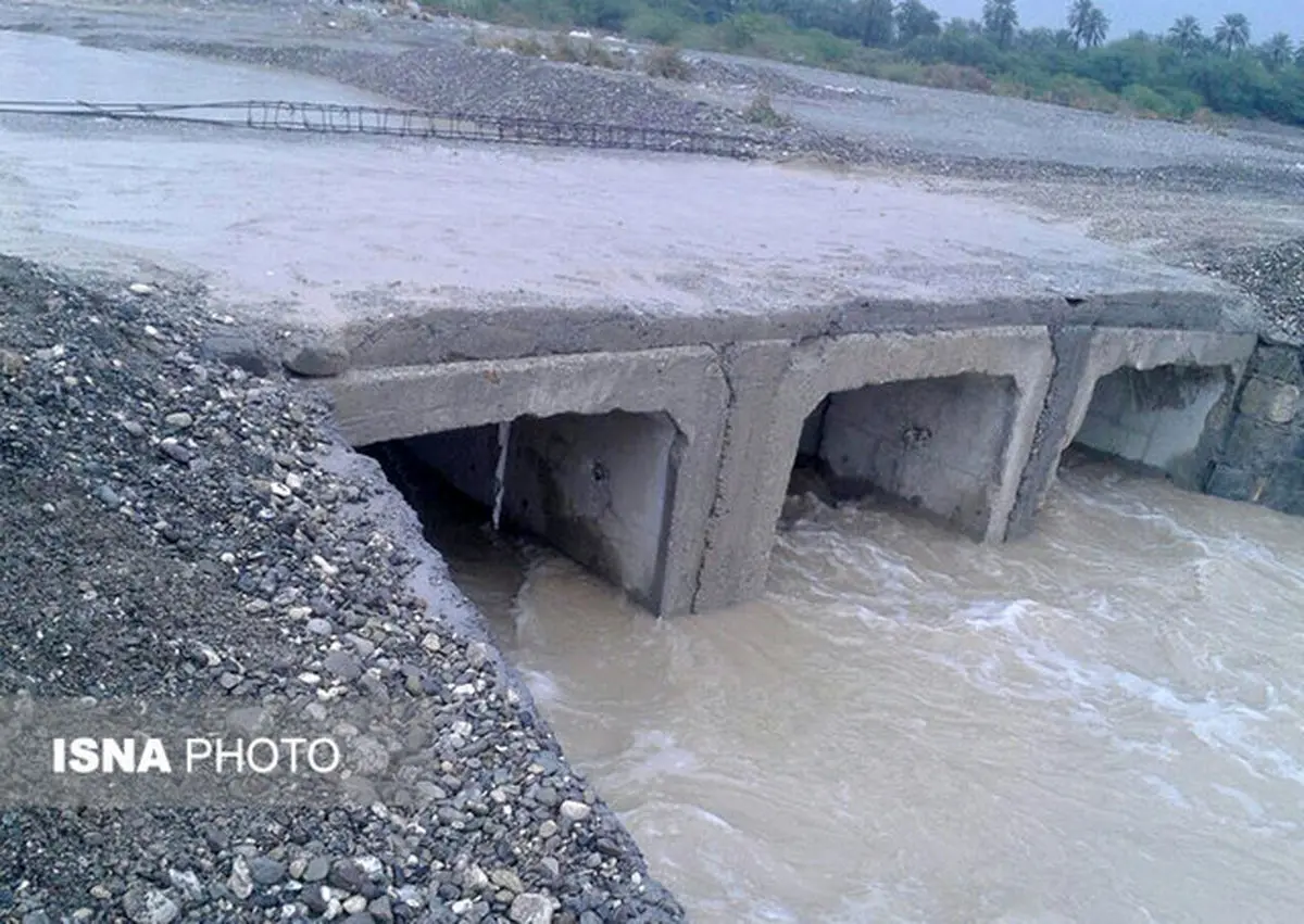 خسارت بیش از یک میلیارد تومانی سیل در بشاگرد