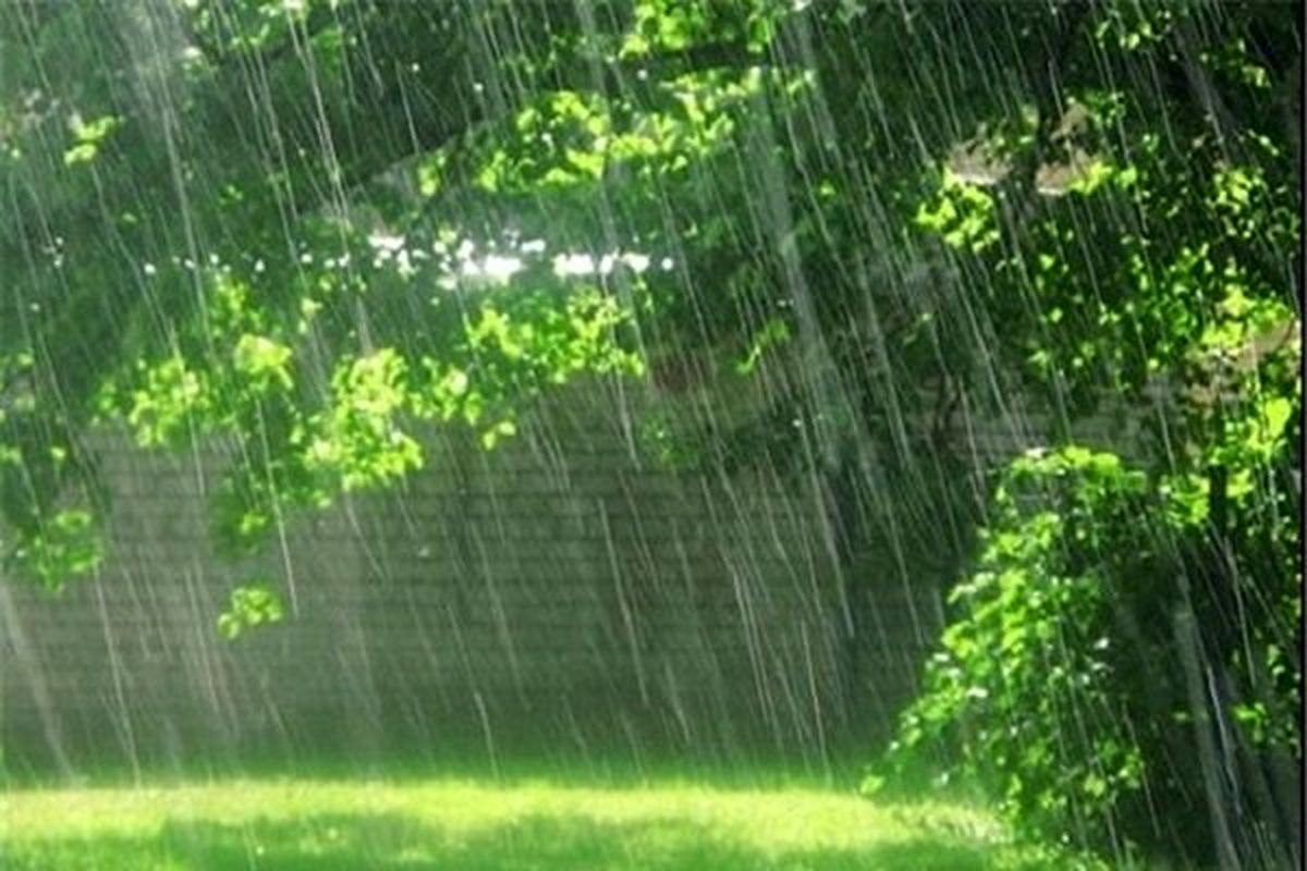 بارش باران برای نخستین بار طی سال جاری در جنوب کرمان
