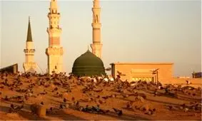 بر سر اهل بیت امام حسین(ع) بعد از بازگشت از شام به مدینه چه گذشت؟