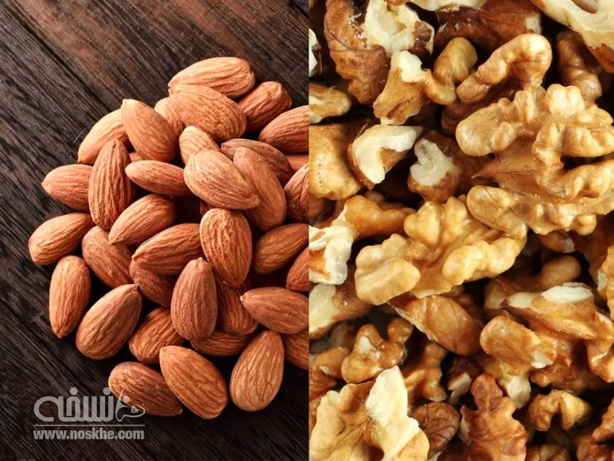 مصرف گردو و بادام طول عمر را افزایش می‌دهد