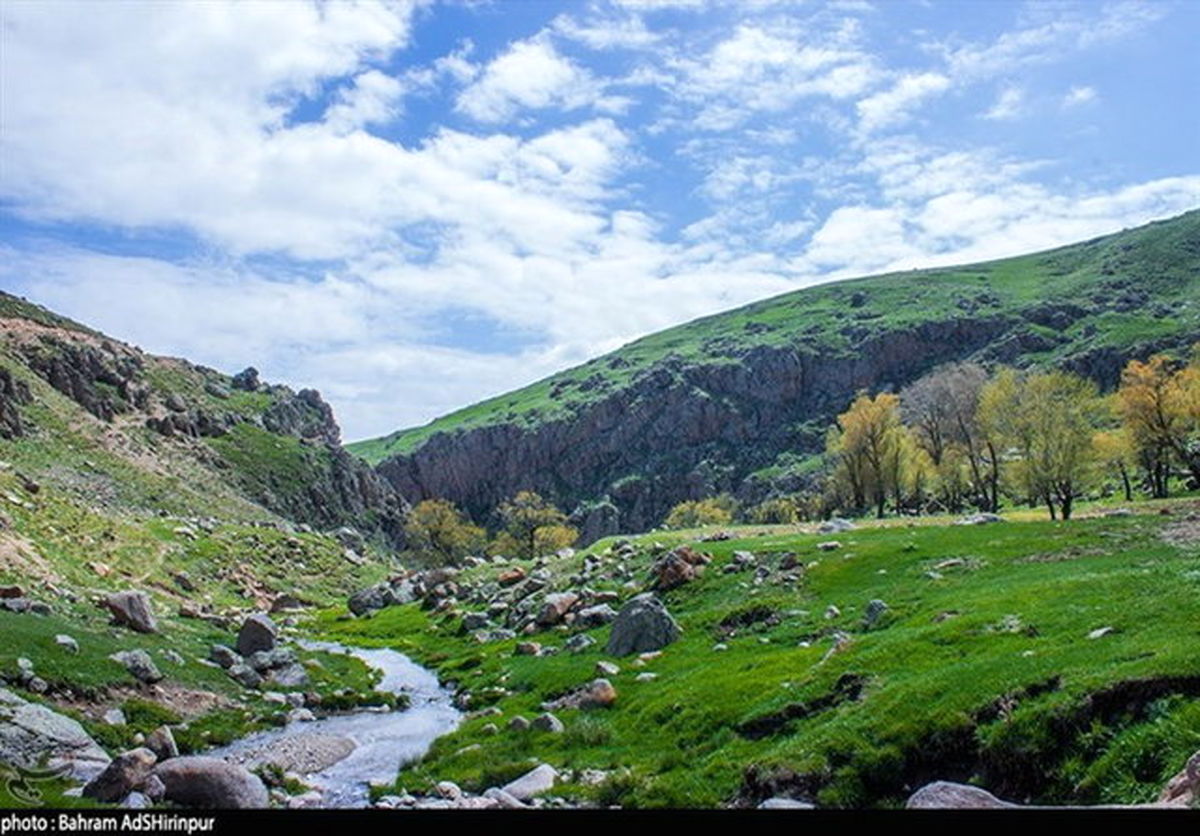 احیای جنگلهای زاگرس با همکاری سازمان ژاپنی جایکا