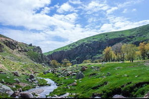 احیای جنگل‌های زاگرس با همکاری سازمان ژاپنی جایکا