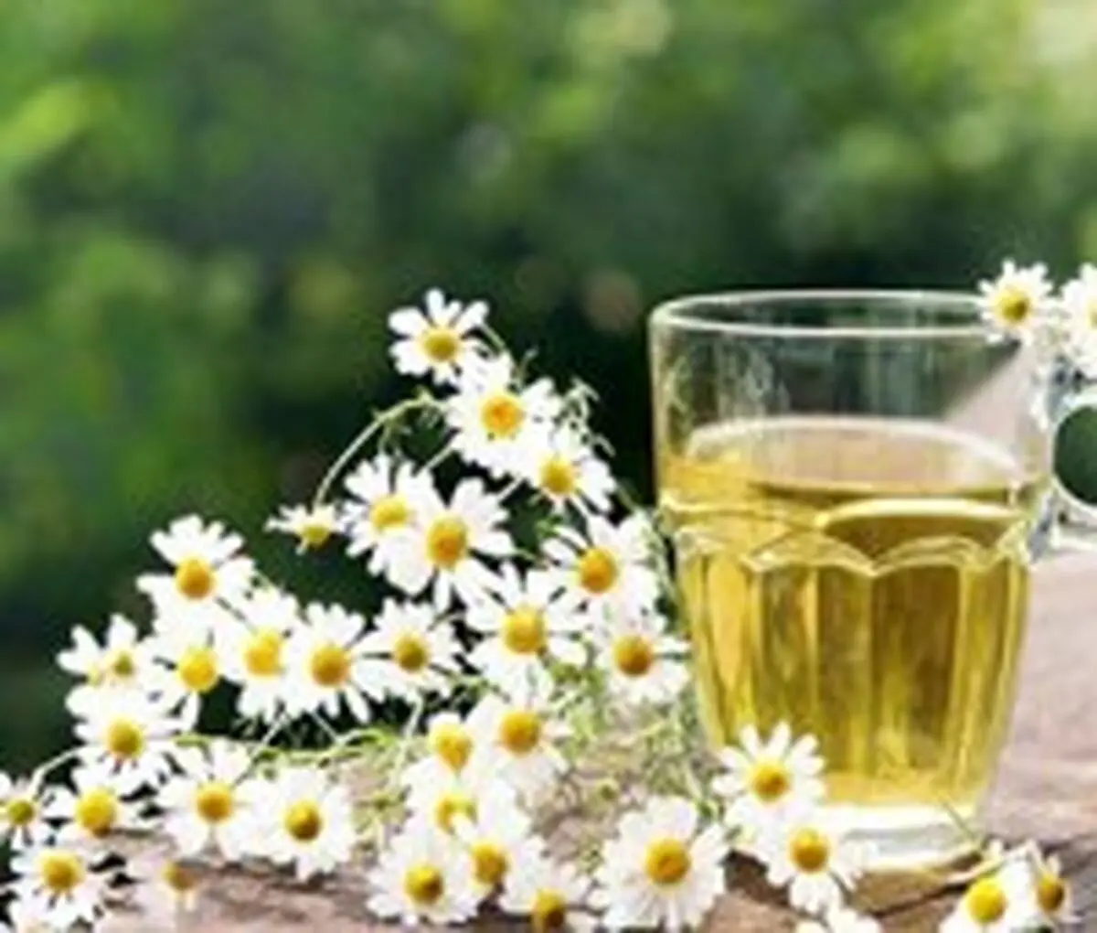 خواص بابونه برای پوست از درمان آکنه تا درمان تیرگی دور چشم