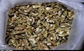 افزایش بی‌رویه قیمت گردو در ارومیه +فیلم