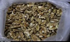 افزایش بی‌رویه قیمت گردو در ارومیه +فیلم