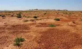 مرگ نزدیک آخرین بیابان‌های به جا مانده در زمین