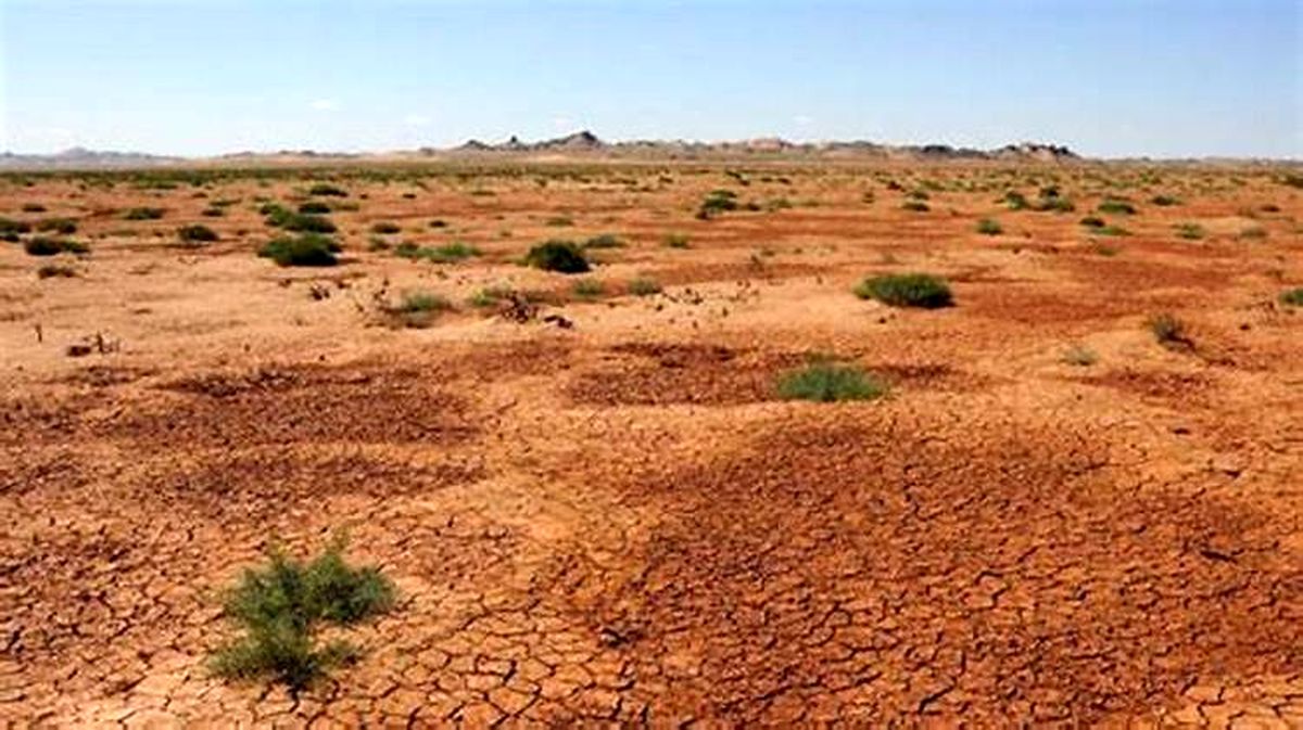 مرگ نزدیک آخرین بیابانهای به جا مانده در زمین