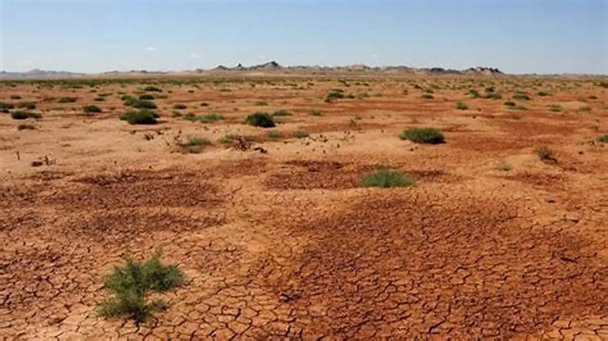 مرگ نزدیک آخرین بیابان‌های به جا مانده در زمین